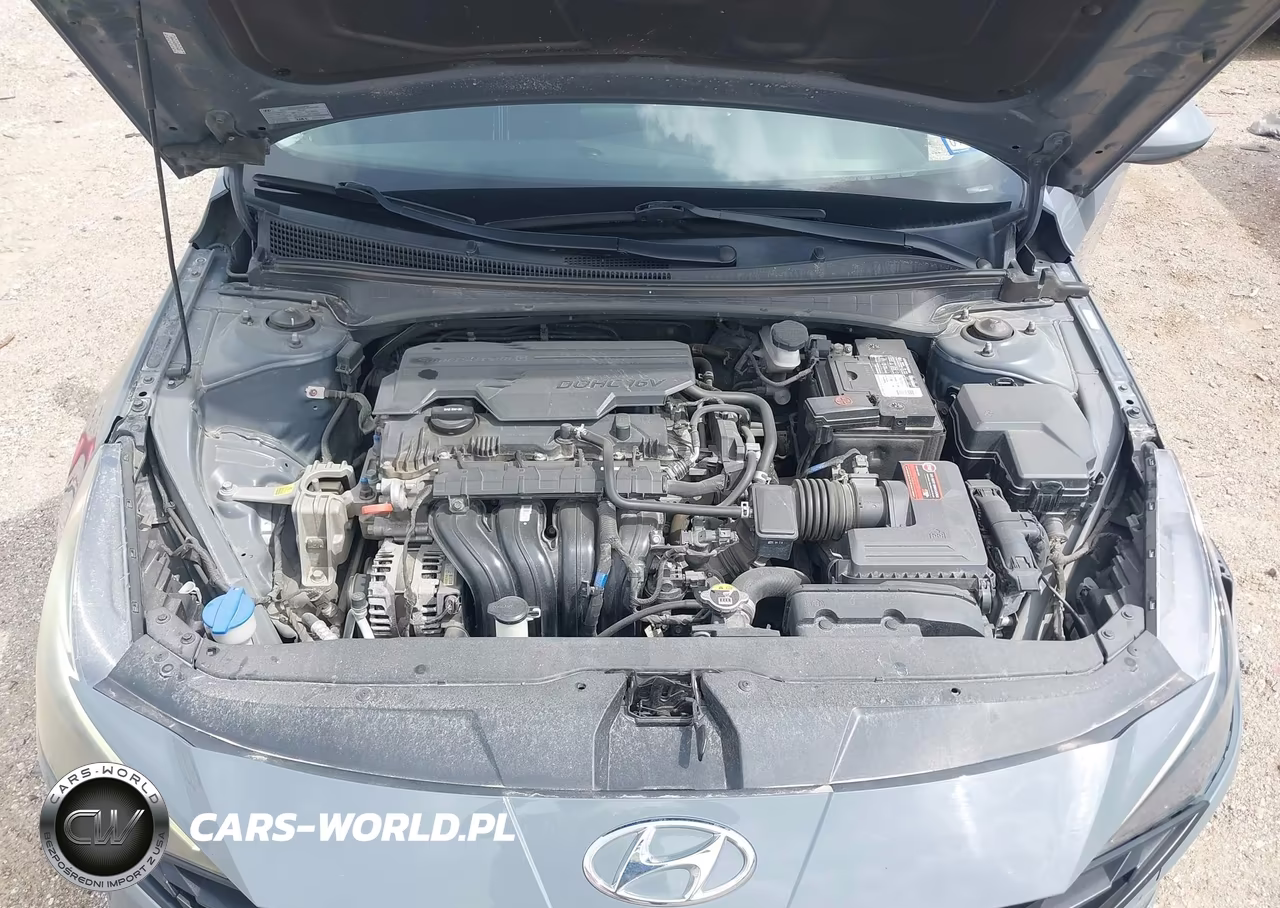 2021 Hyundai Elantra Sel VIN:KMHLM4AG2MU194867 - 10