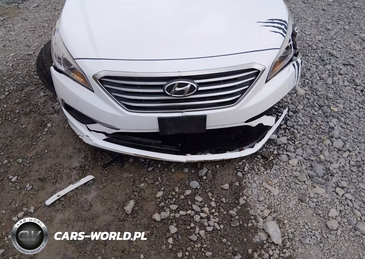 2017 Hyundai Sonata Se VIN:5NPE24AF1HH510771 - 18