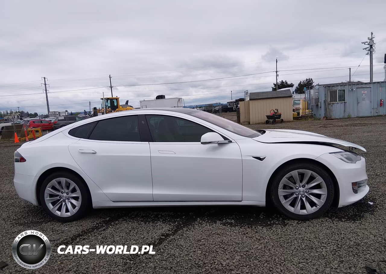 2017 Tesla Model S 100D-60D-75D-90D-P100D VIN:5YJSA1E21HF198428 - 13