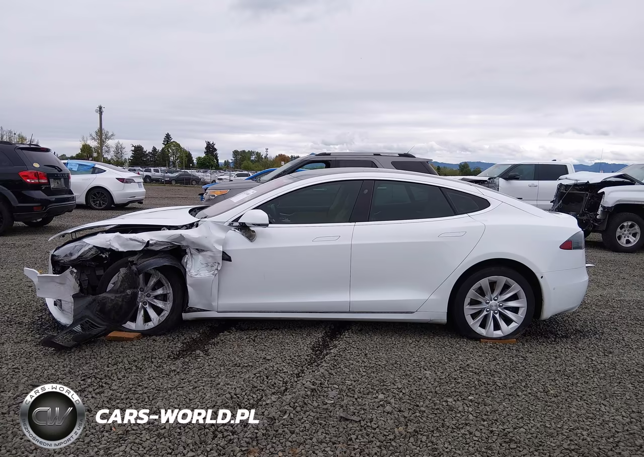 2017 Tesla Model S 100D-60D-75D-90D-P100D VIN:5YJSA1E21HF198428 - 14