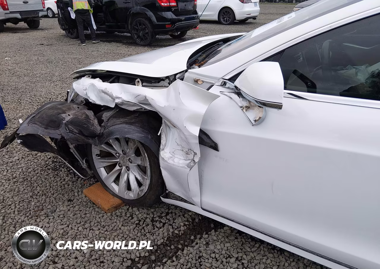 2017 Tesla Model S 100D-60D-75D-90D-P100D VIN:5YJSA1E21HF198428 - 20