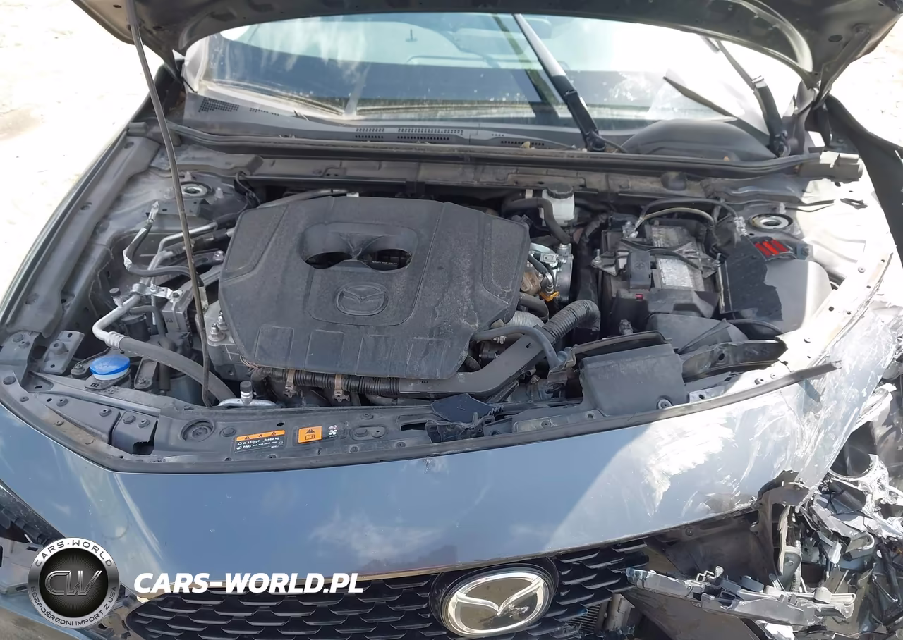 2023 Mazda Mazda3 2.5 S Preferred VIN:3MZBPACM4PM371188 - 10