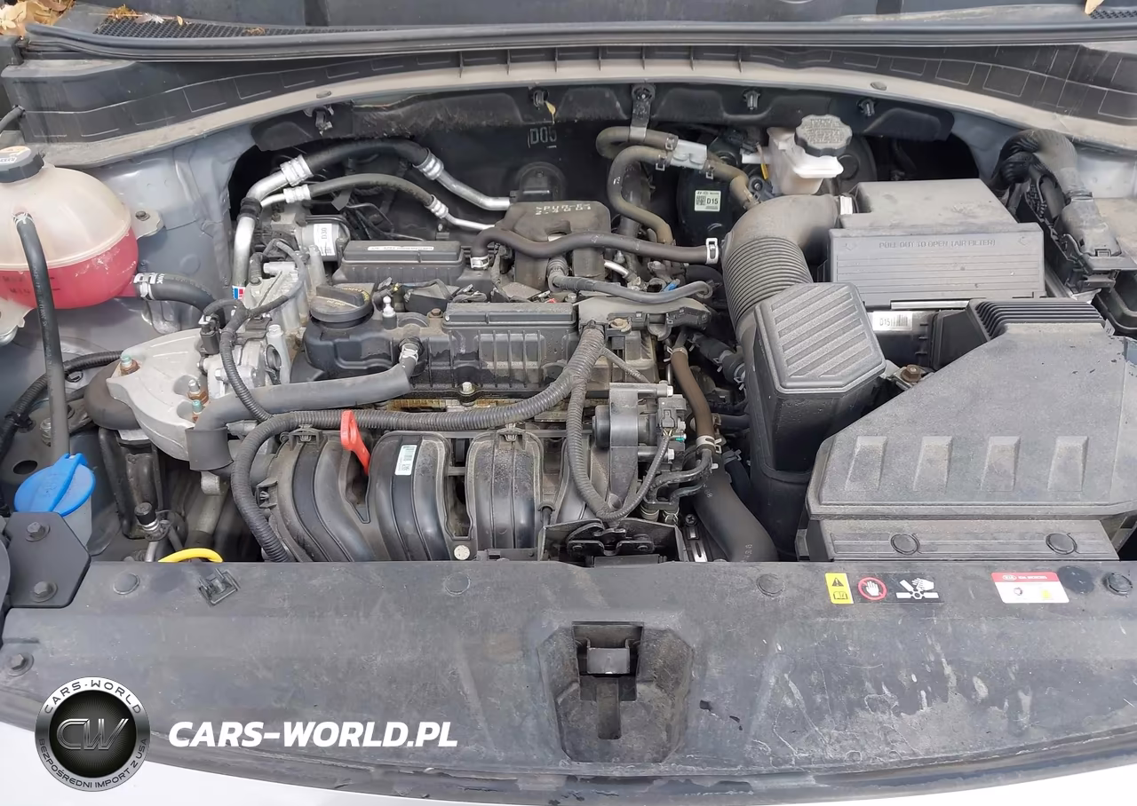 2021 Kia Sportage Lx VIN:KNDPMCAC0M7879638 - 10