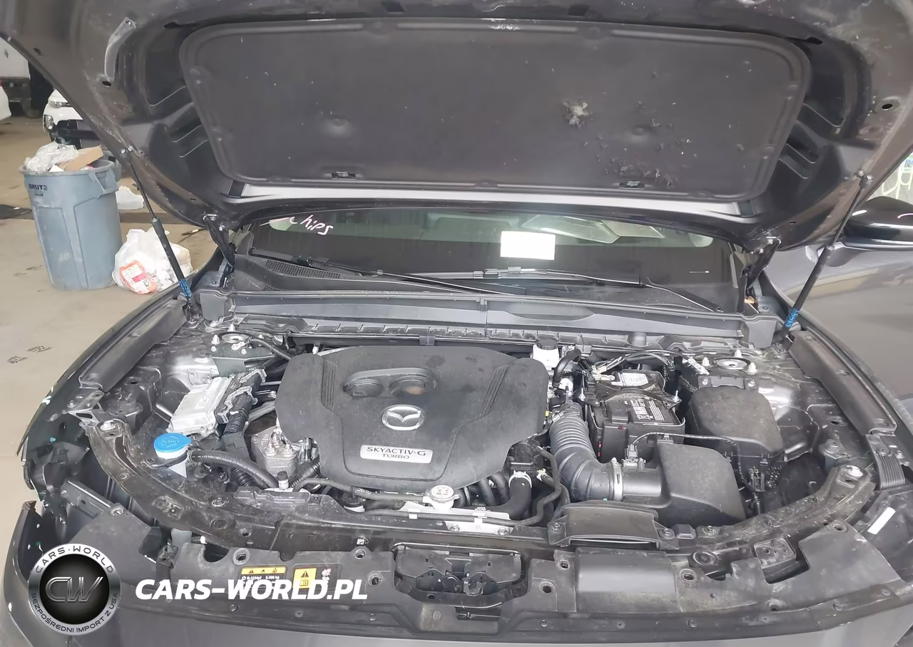 2025 Mazda Cx-50 2.5 Turbo Premium Package VIN:7MMVABDYXSN363989 - 10