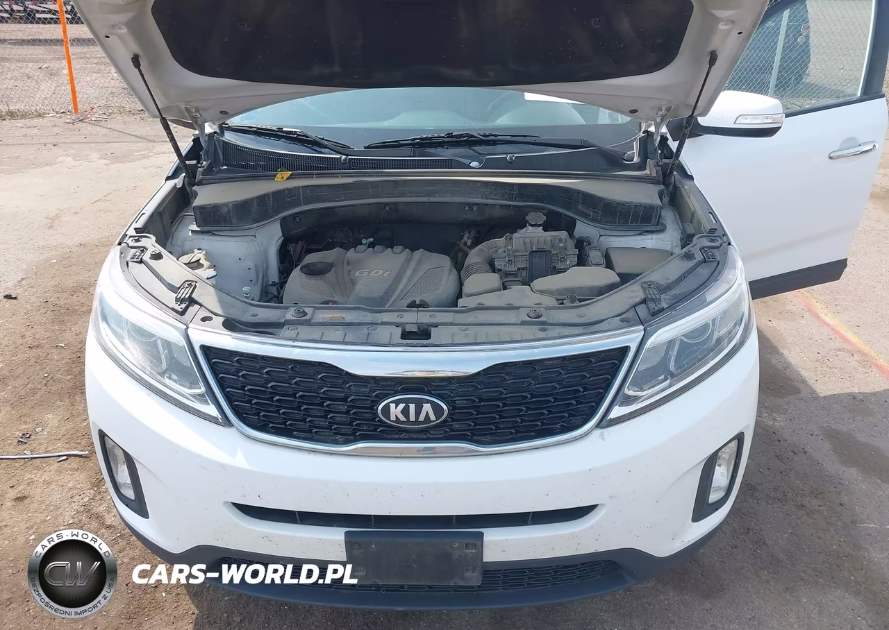 2014 Kia Sorento Lx VIN:5XYKTCA64EG468495 - 10