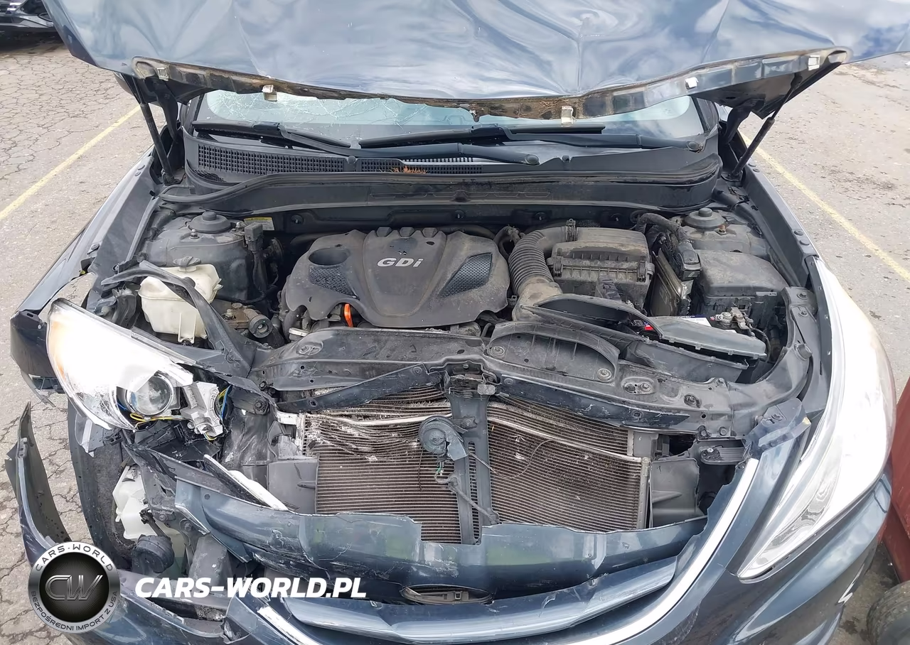 2013 Hyundai Sonata Gls VIN:5NPEB4AC3DH518256 - 10