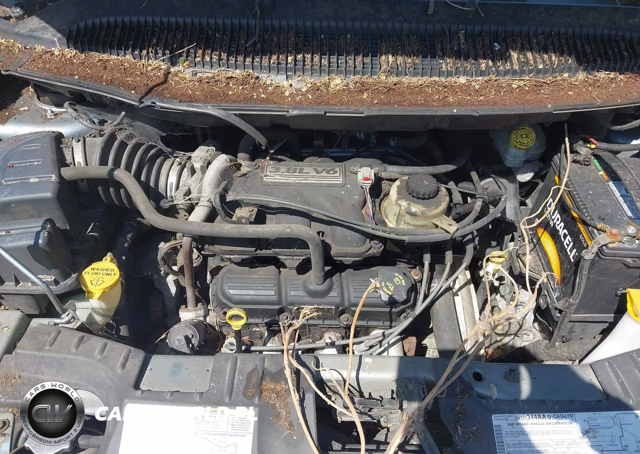 2005 Dodge Grand Caravan Sxt VIN:2D4GP44L25R269851 - 10