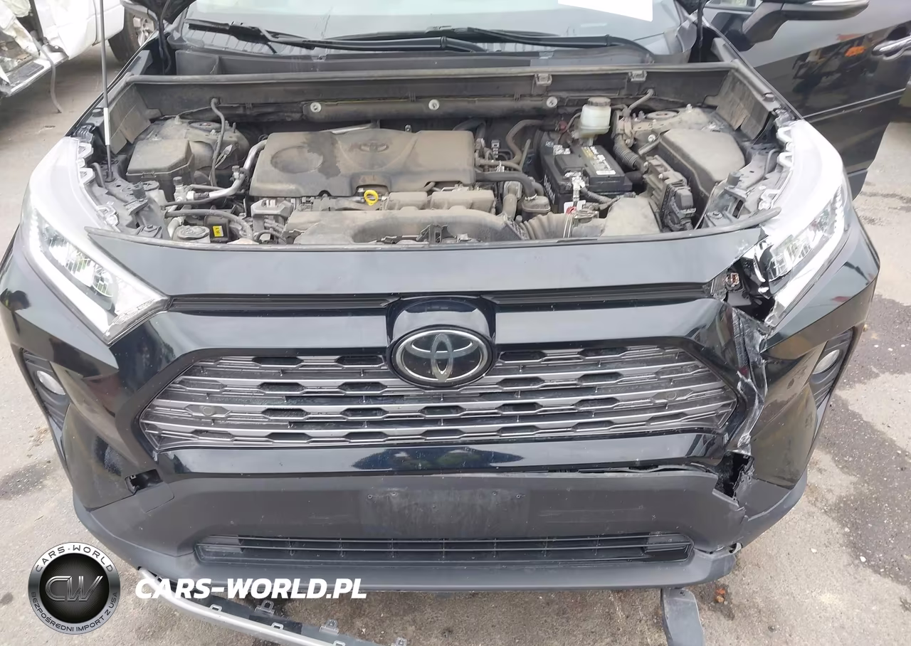2019 Toyota Rav4 Limited VIN:JTMN1RFV6KD501299 - 10