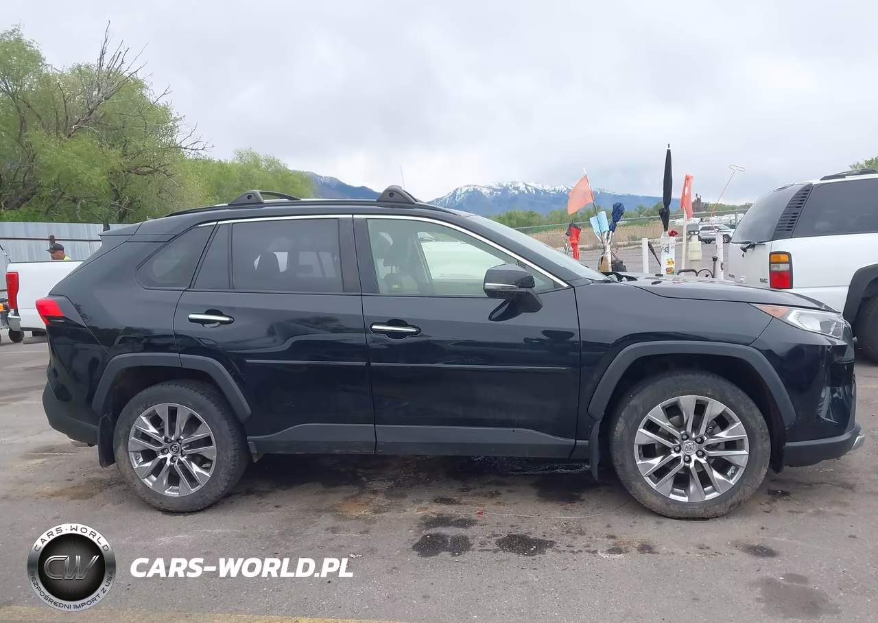 2019 Toyota Rav4 Limited VIN:JTMN1RFV6KD501299 - 13