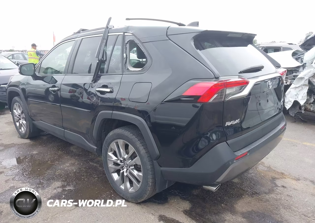2019 Toyota Rav4 Limited VIN:JTMN1RFV6KD501299 - 3