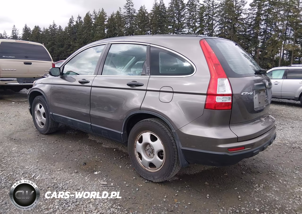 2010 Honda Cr-V Lx VIN:5J6RE3H33AL015322 - 3