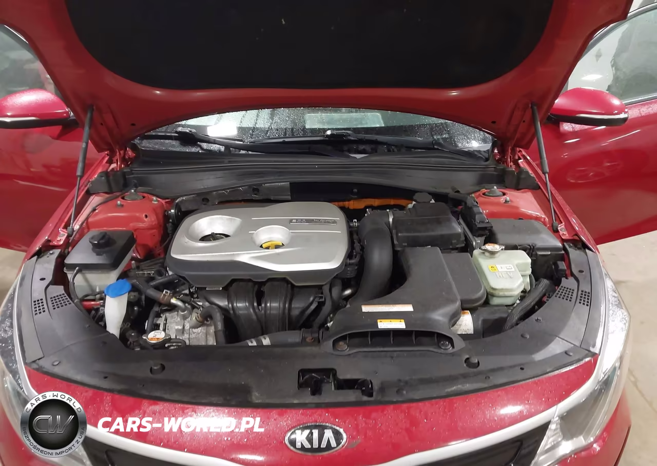 2017 Kia Optima Hybrid Ex VIN:KNAGU4LE9H5009809 - 10