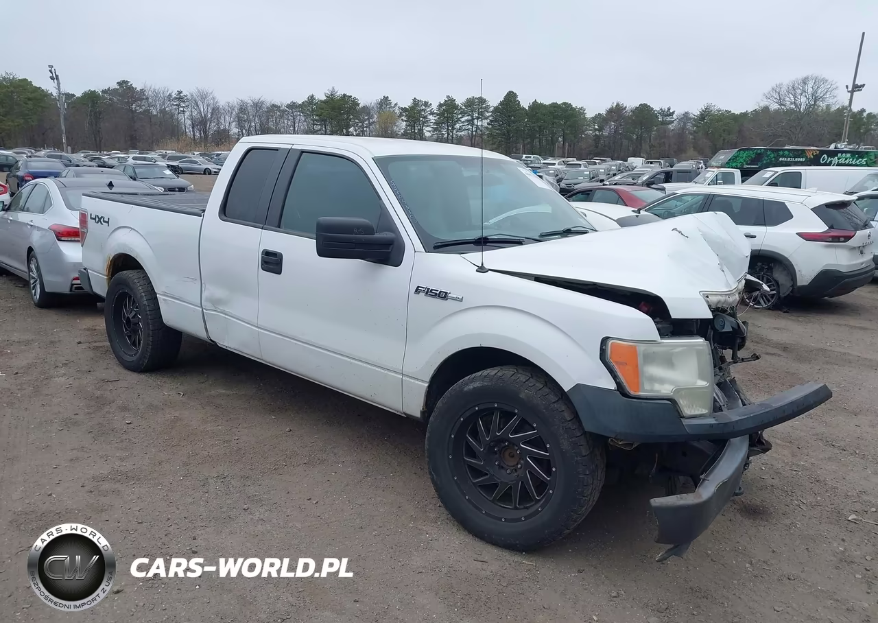 2010 Ford F-150 Stx-Xl