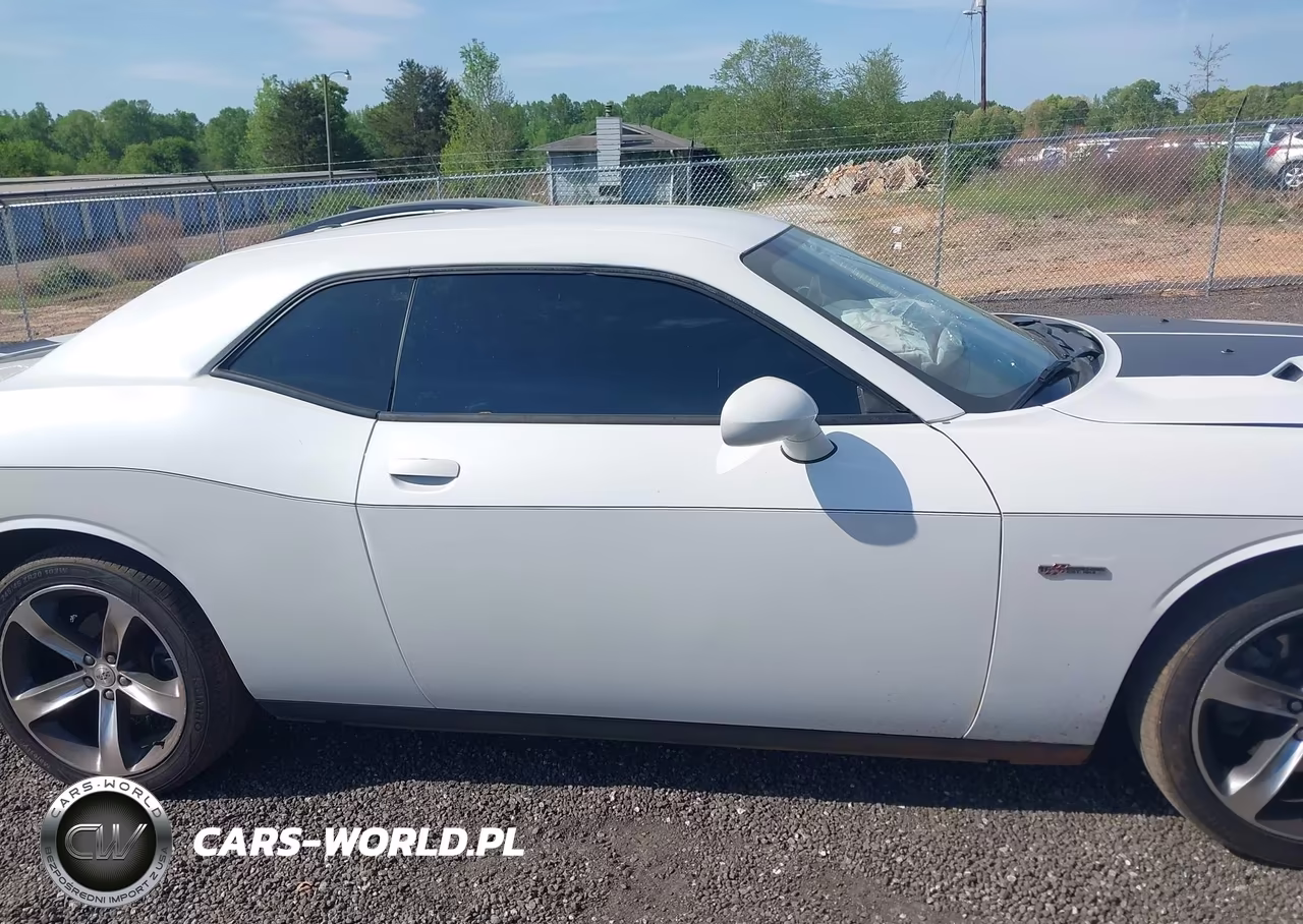 2014 Dodge Challenger R-T 100Th Anniversary Appearance Group VIN:2C3CDYBT7EH293118 - 13
