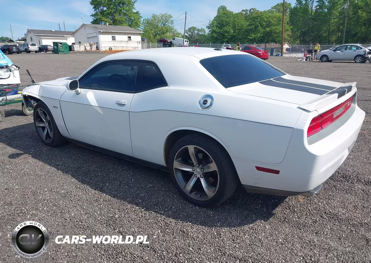2014 Dodge Challenger R-T 100Th Anniversary Appearance Group VIN:2C3CDYBT7EH293118 - 3