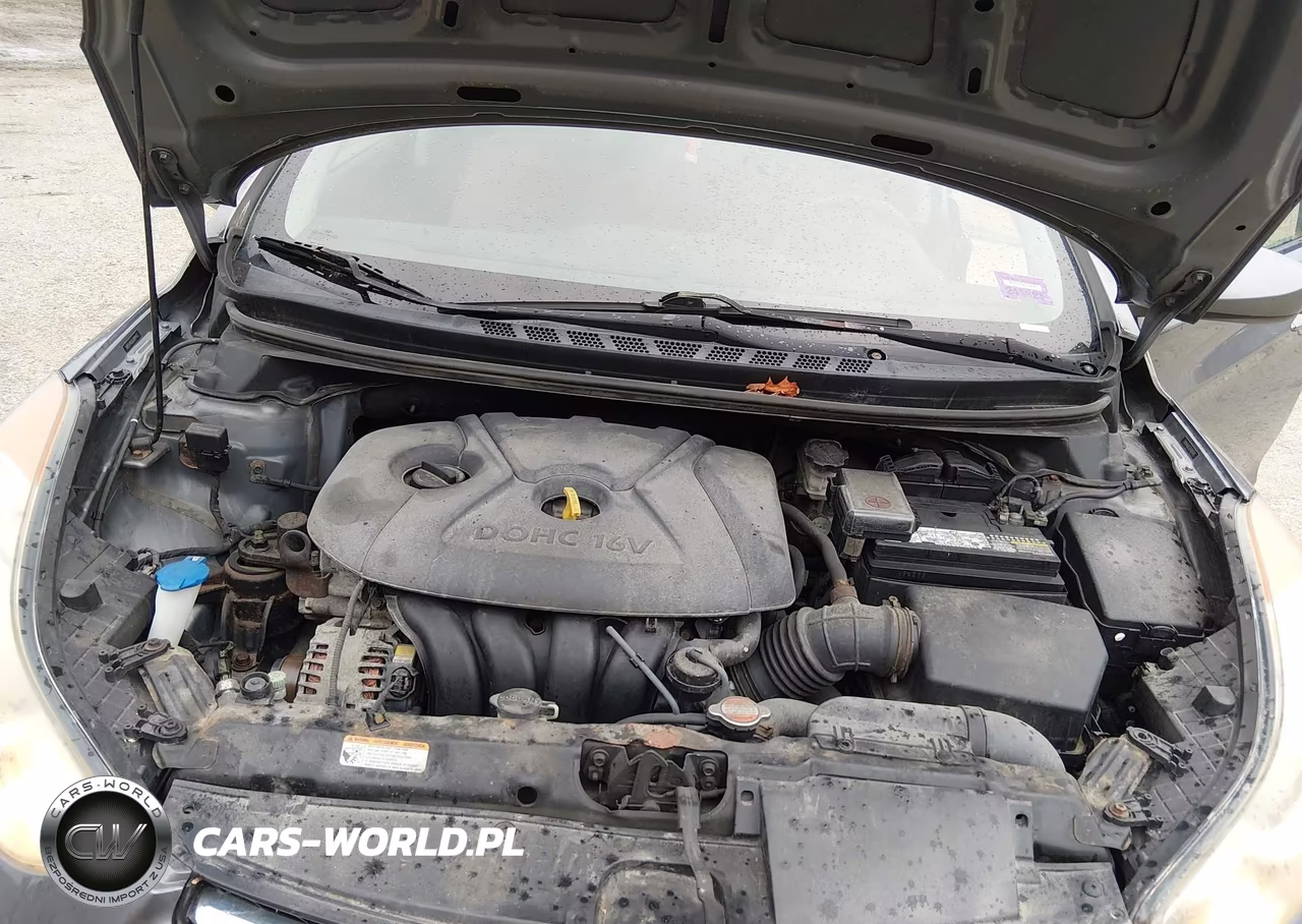 2012 Hyundai Elantra Gls VIN:5NPDH4AEXCH094942 - 10