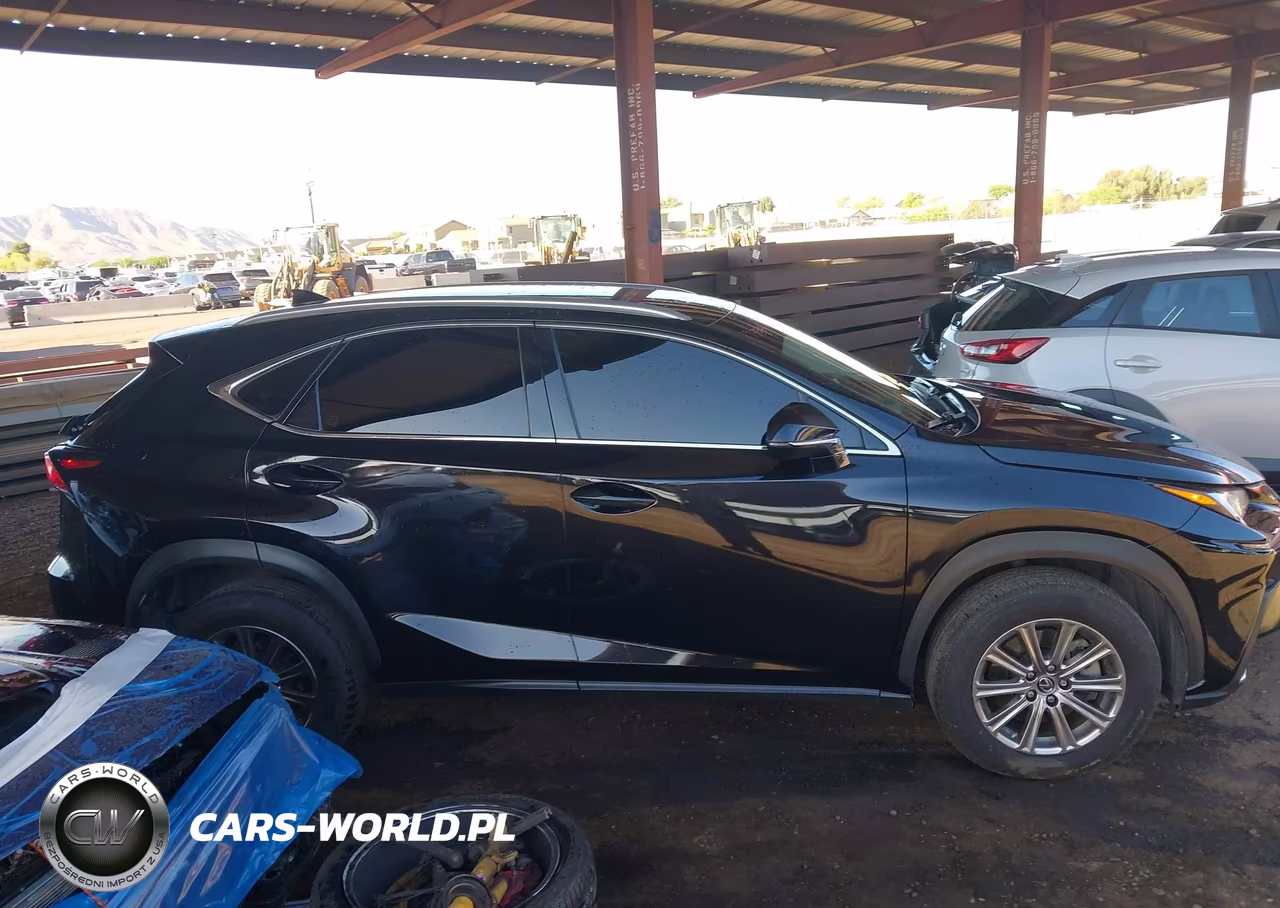 2021 Lexus Nx 300 VIN:JTJDARBZ0M2197807 - 13