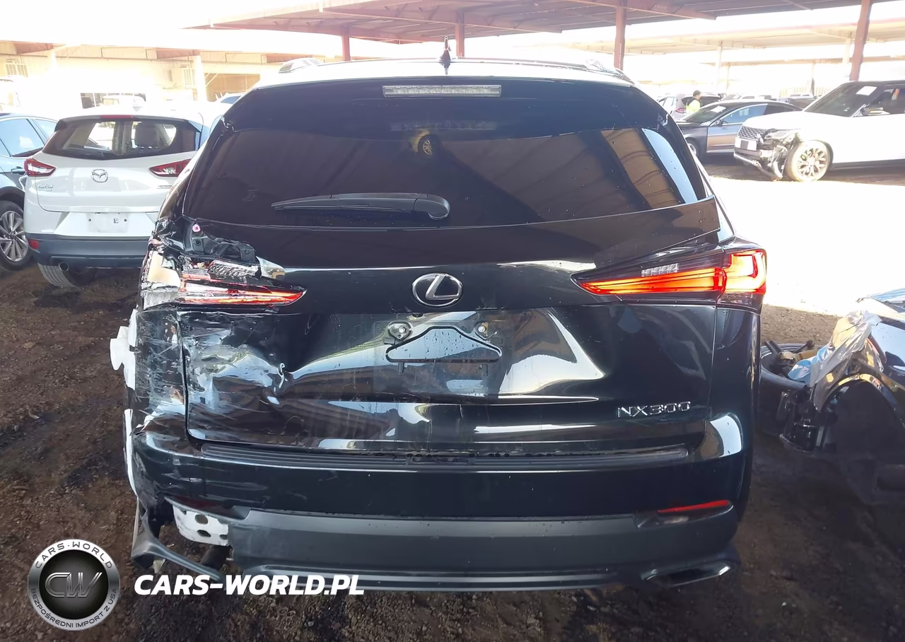 2021 Lexus Nx 300 VIN:JTJDARBZ0M2197807 - 16