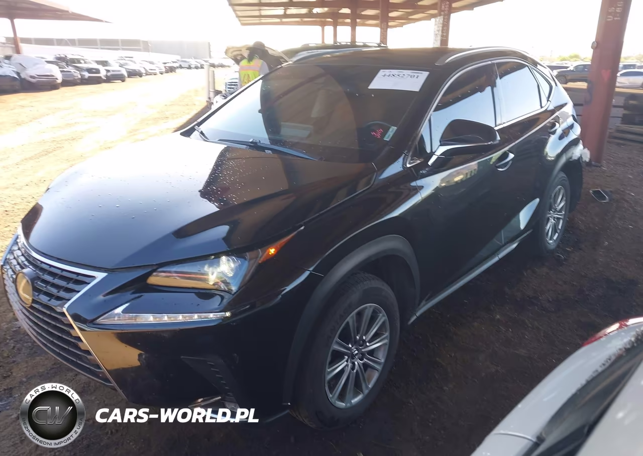 2021 Lexus Nx 300 VIN:JTJDARBZ0M2197807 - 2