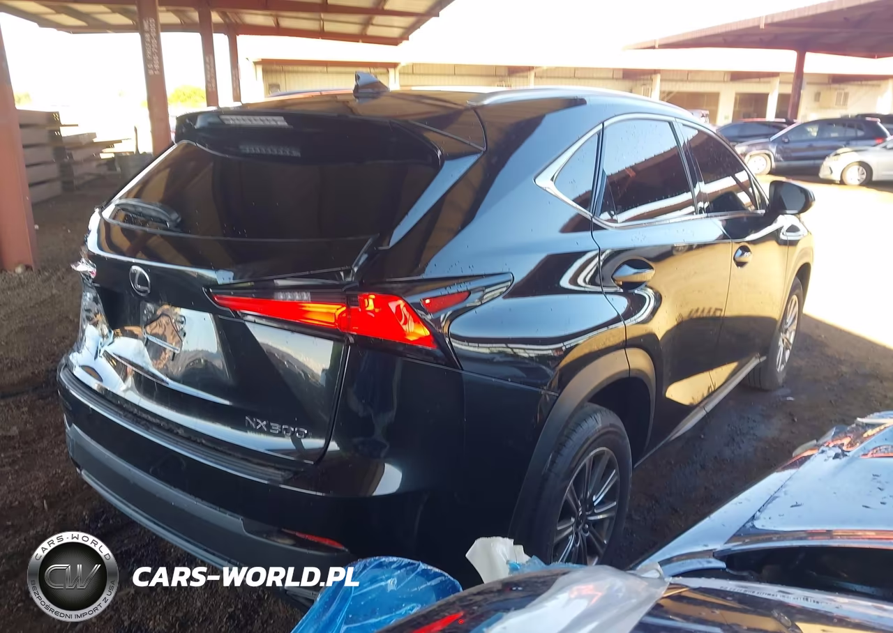 2021 Lexus Nx 300 VIN:JTJDARBZ0M2197807 - 4