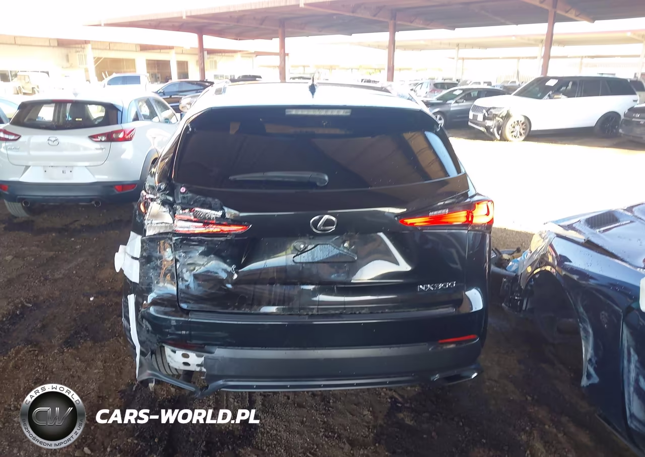 2021 Lexus Nx 300 VIN:JTJDARBZ0M2197807 - 6