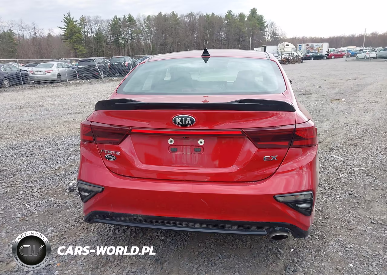 2019 Kia Forte Ex VIN:3KPF54AD8KE025596 - 16