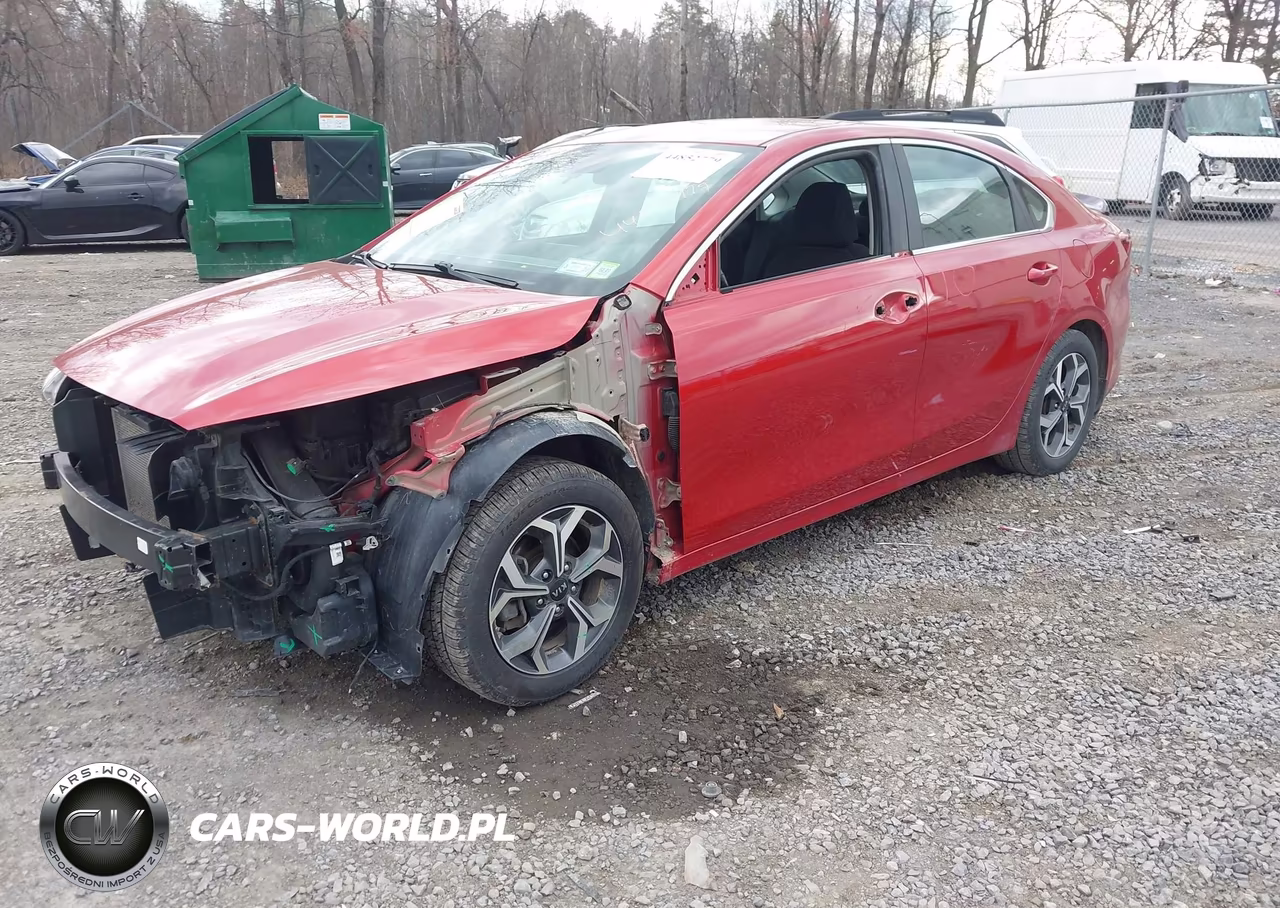 2019 Kia Forte Ex VIN:3KPF54AD8KE025596 - 2