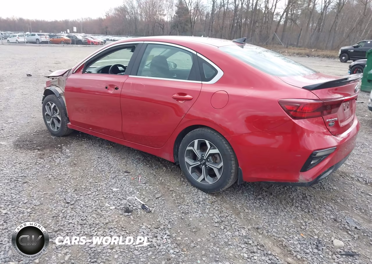 2019 Kia Forte Ex VIN:3KPF54AD8KE025596 - 3