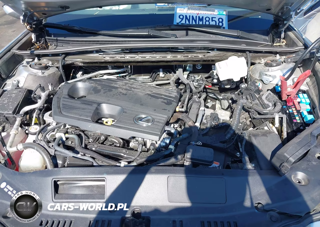 2022 Lexus Es 300H VIN:58ADA1C11NU015880 - 10