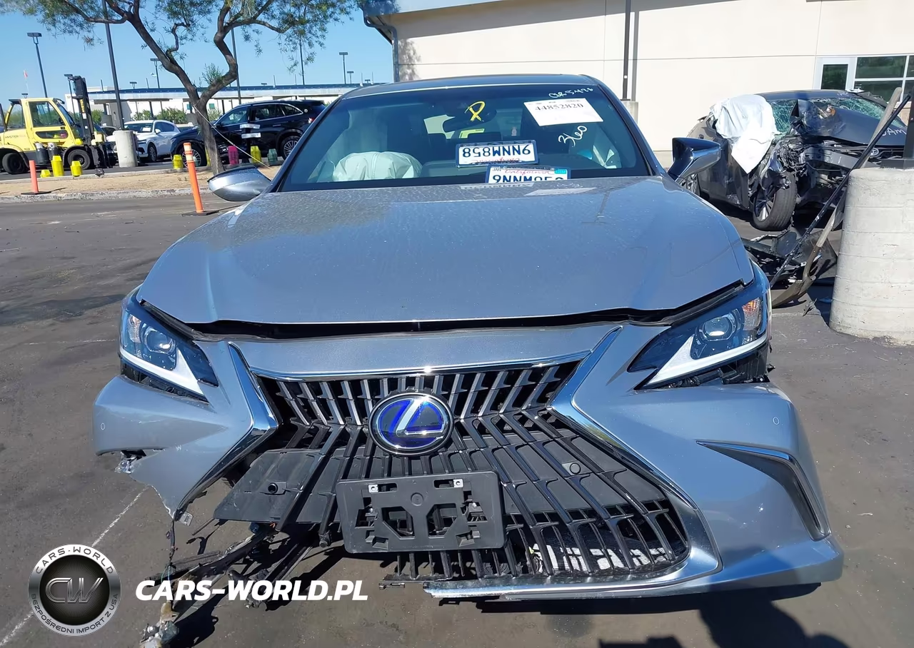 2022 Lexus Es 300H VIN:58ADA1C11NU015880 - 13