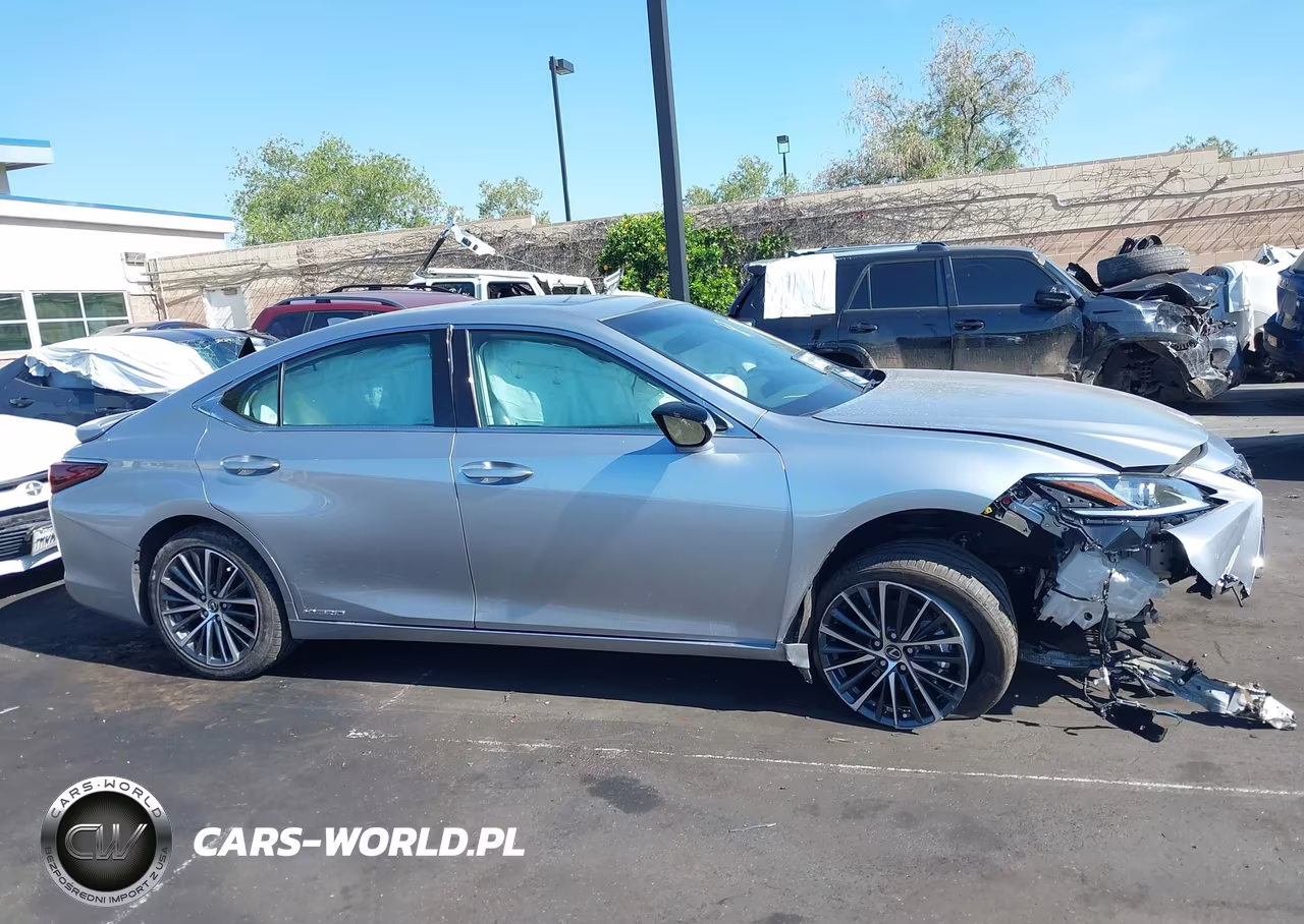 2022 Lexus Es 300H VIN:58ADA1C11NU015880 - 14