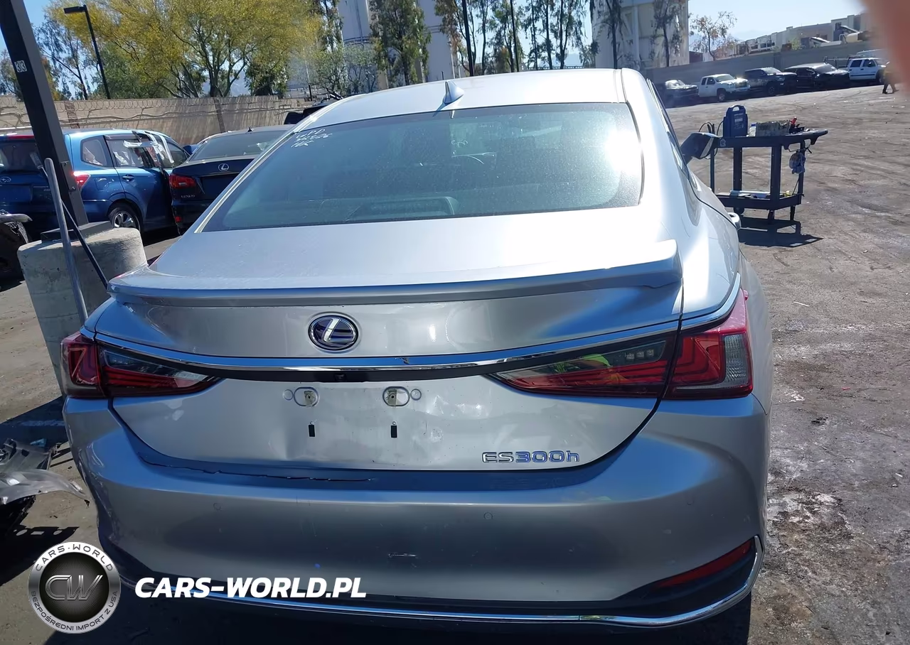 2022 Lexus Es 300H VIN:58ADA1C11NU015880 - 17