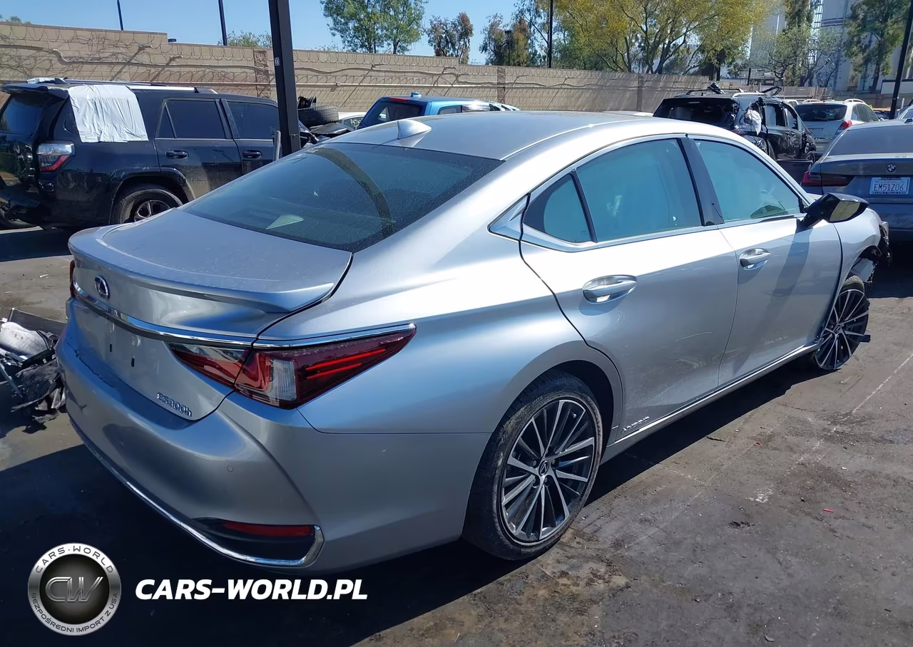 2022 Lexus Es 300H VIN:58ADA1C11NU015880 - 4