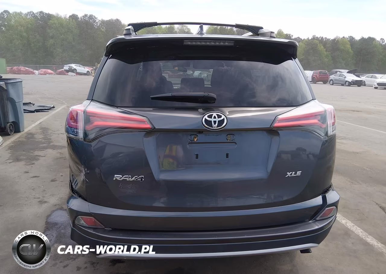 2016 Toyota Rav4 Xle VIN:2T3WFREV6GW257316 - 16