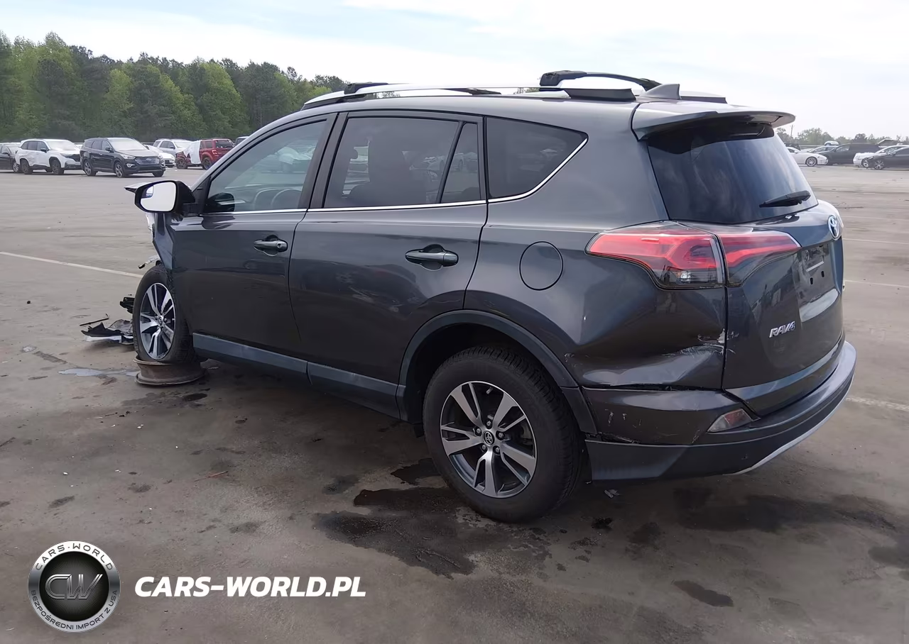 2016 Toyota Rav4 Xle VIN:2T3WFREV6GW257316 - 3