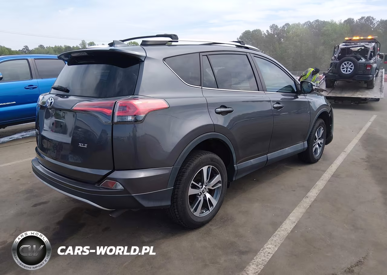 2016 Toyota Rav4 Xle VIN:2T3WFREV6GW257316 - 4