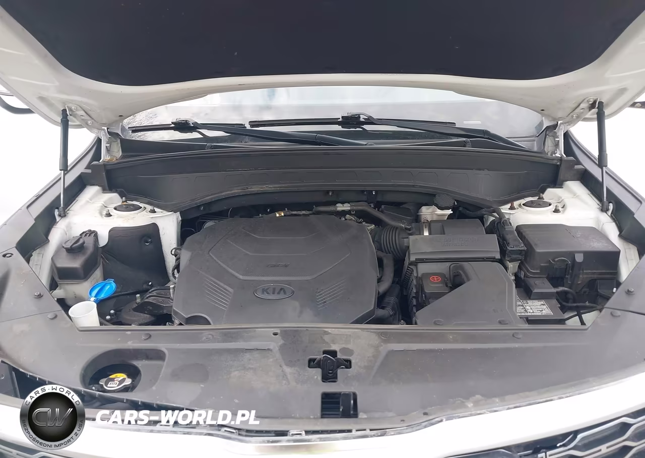 2020 Kia Telluride Ex VIN:5XYP3DHC3LG004568 - 10