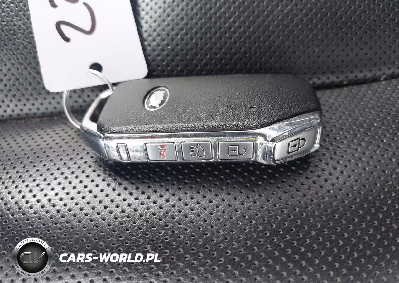 2020 Kia Telluride Ex VIN:5XYP3DHC3LG004568 - 11