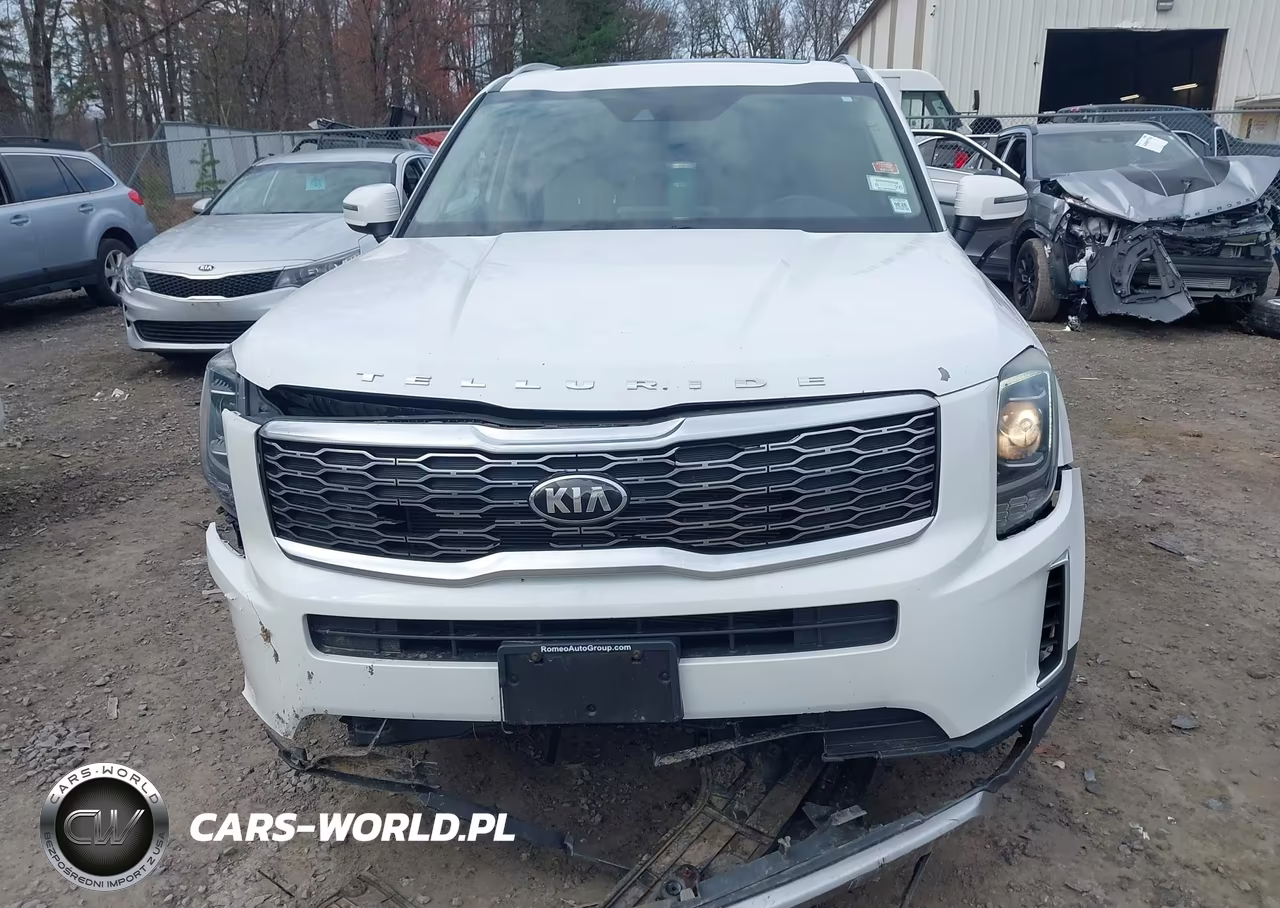 2020 Kia Telluride Ex VIN:5XYP3DHC3LG004568 - 12