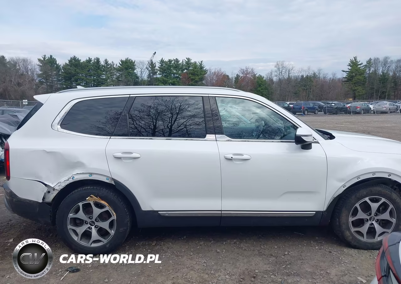 2020 Kia Telluride Ex VIN:5XYP3DHC3LG004568 - 13