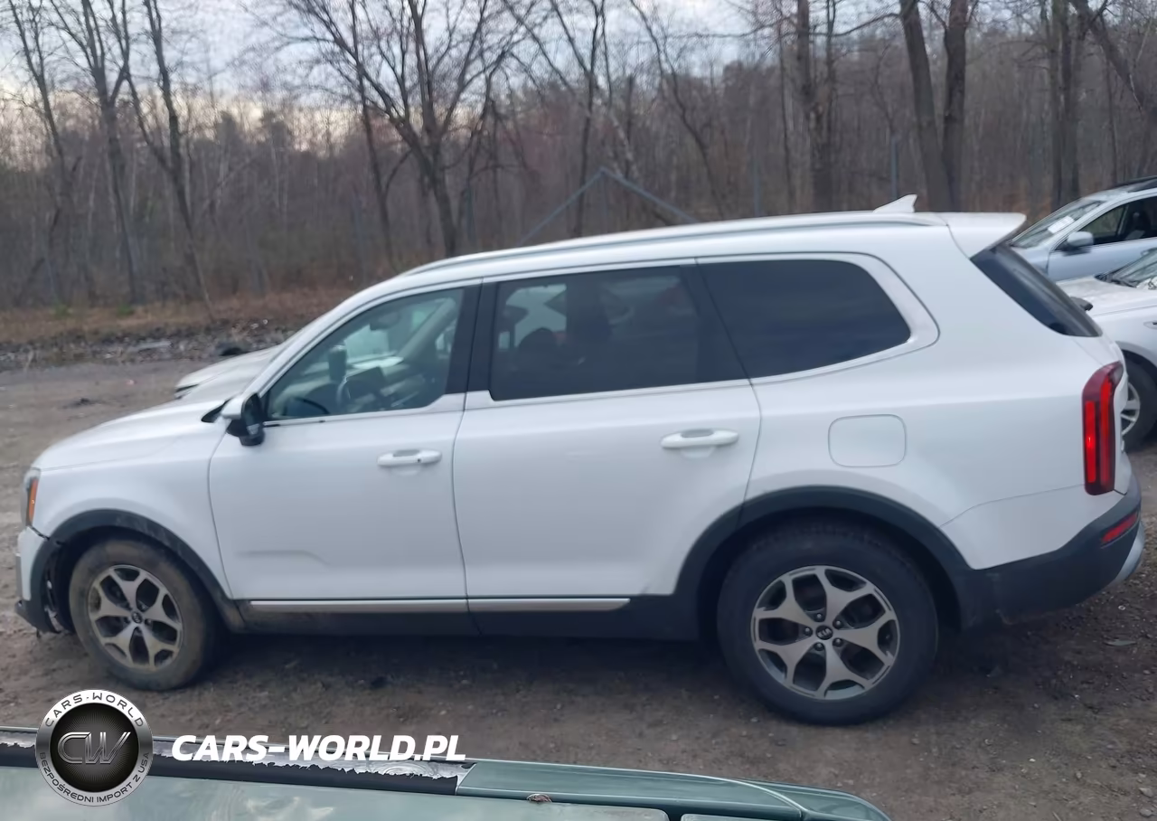 2020 Kia Telluride Ex VIN:5XYP3DHC3LG004568 - 14