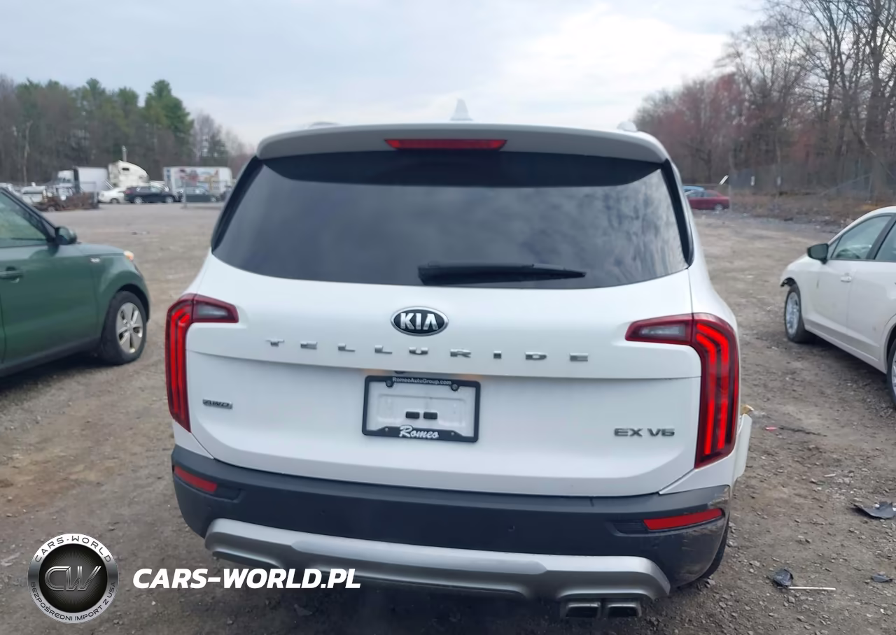 2020 Kia Telluride Ex VIN:5XYP3DHC3LG004568 - 16