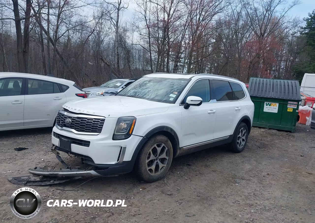 2020 Kia Telluride Ex VIN:5XYP3DHC3LG004568 - 2