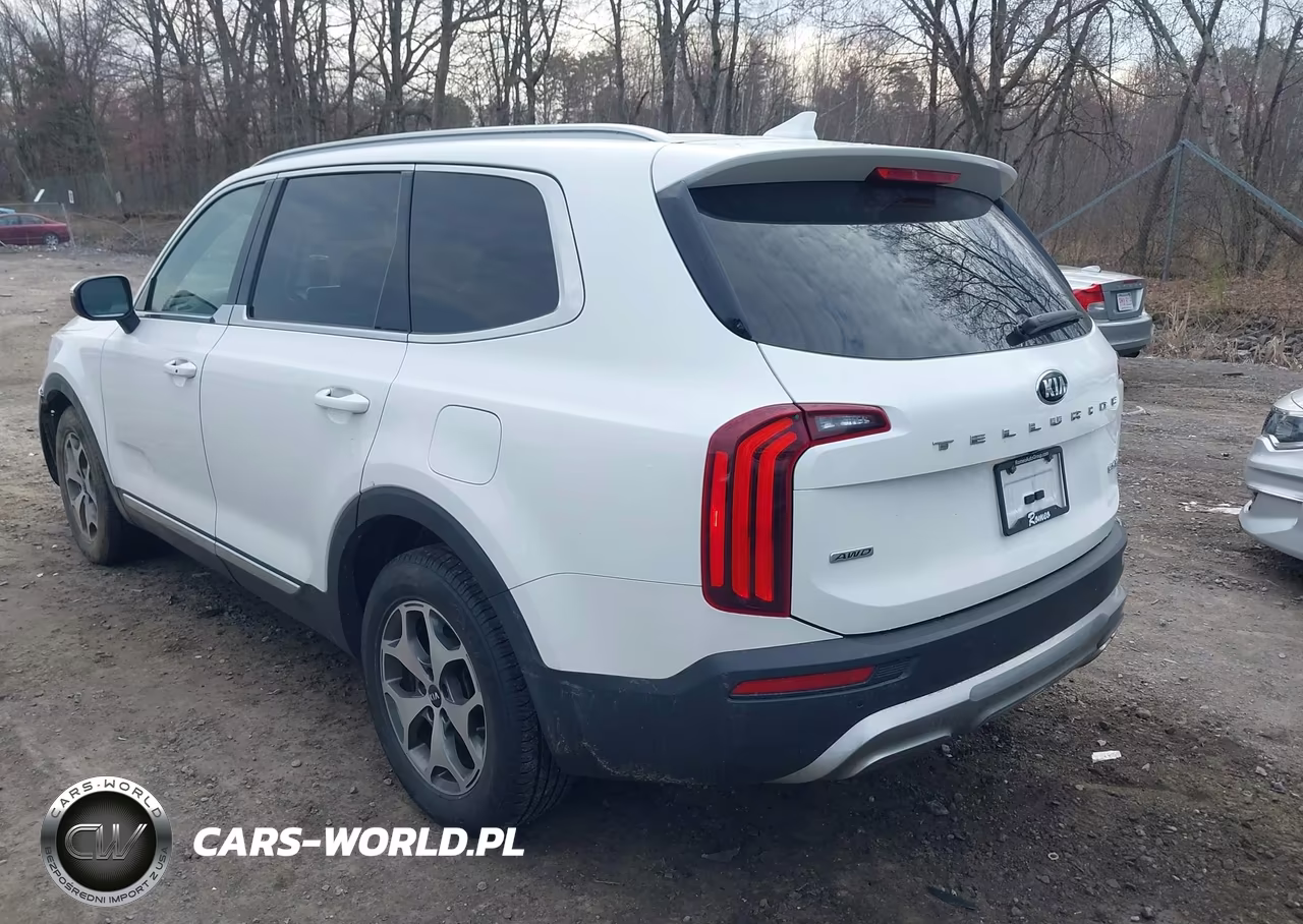 2020 Kia Telluride Ex VIN:5XYP3DHC3LG004568 - 3