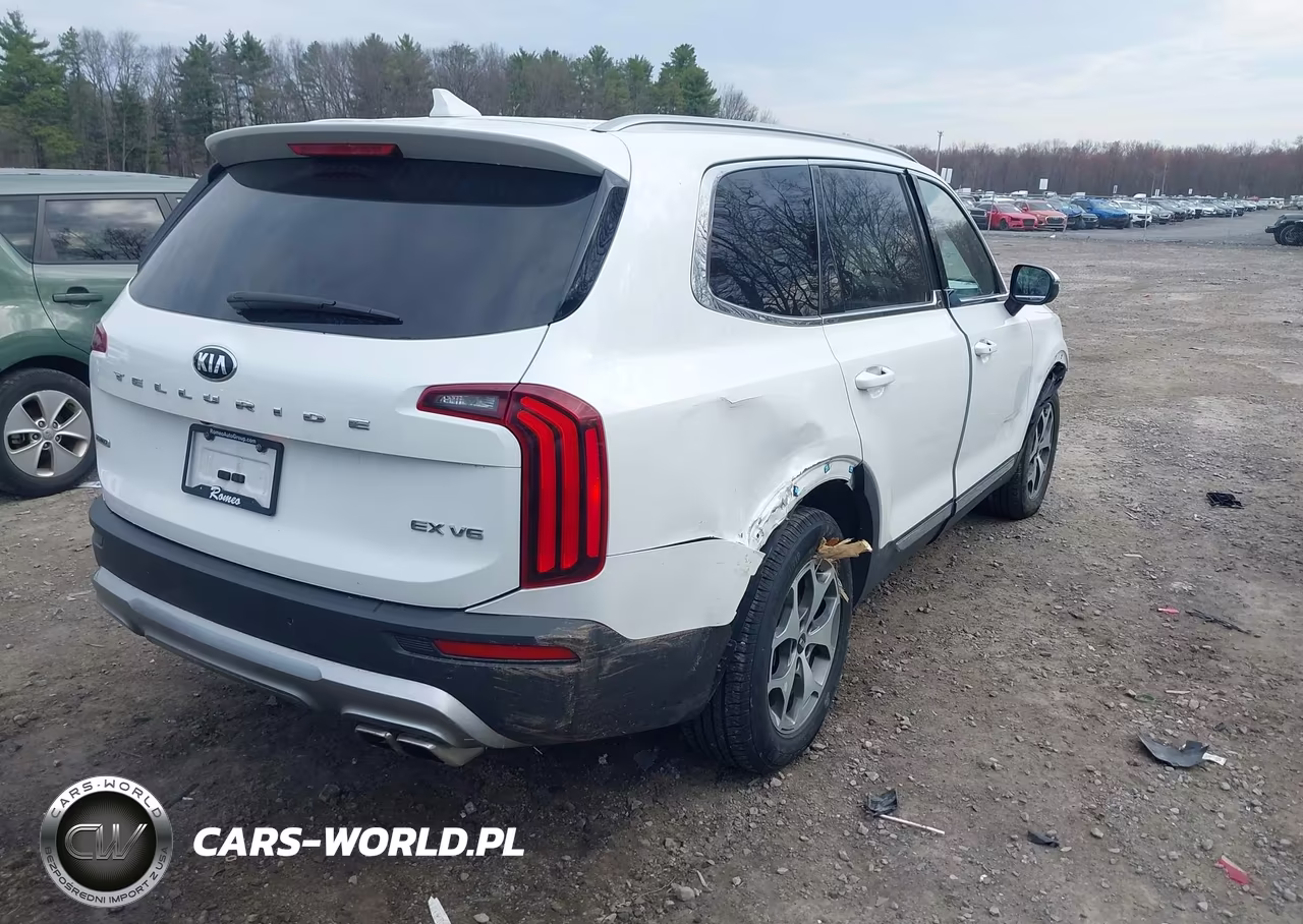 2020 Kia Telluride Ex VIN:5XYP3DHC3LG004568 - 4