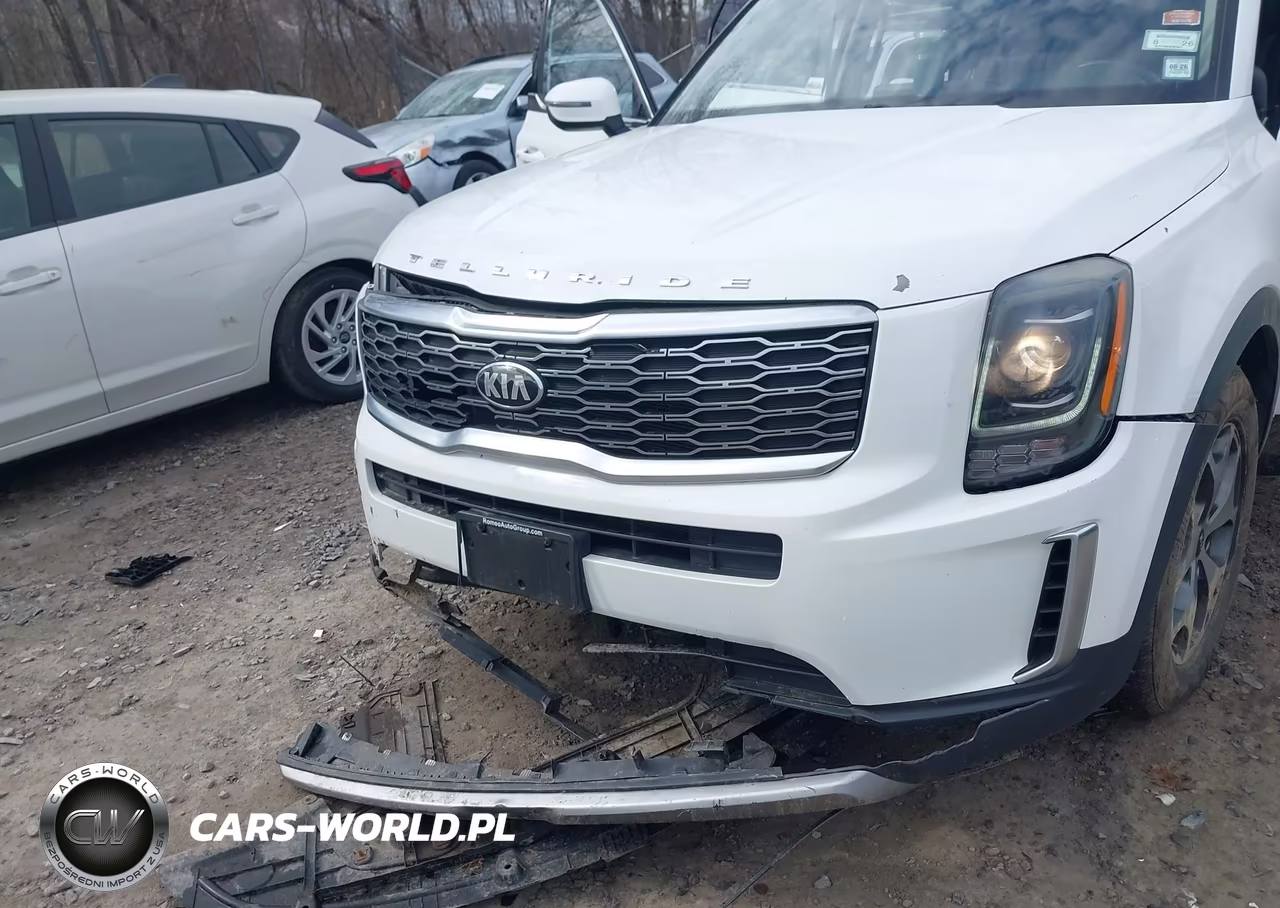 2020 Kia Telluride Ex VIN:5XYP3DHC3LG004568 - 6