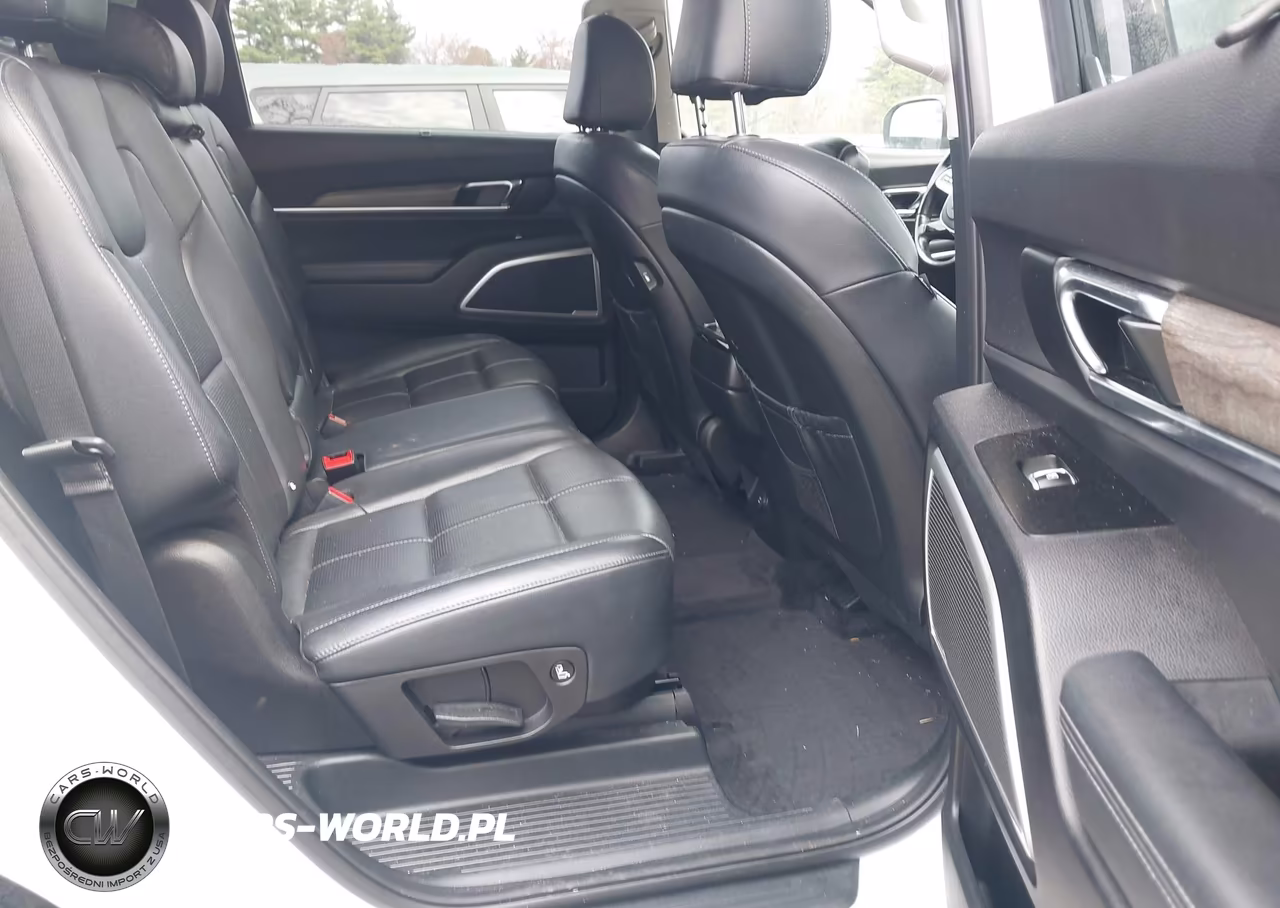2020 Kia Telluride Ex VIN:5XYP3DHC3LG004568 - 8