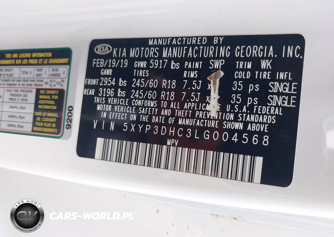 2020 Kia Telluride Ex VIN:5XYP3DHC3LG004568 - 9