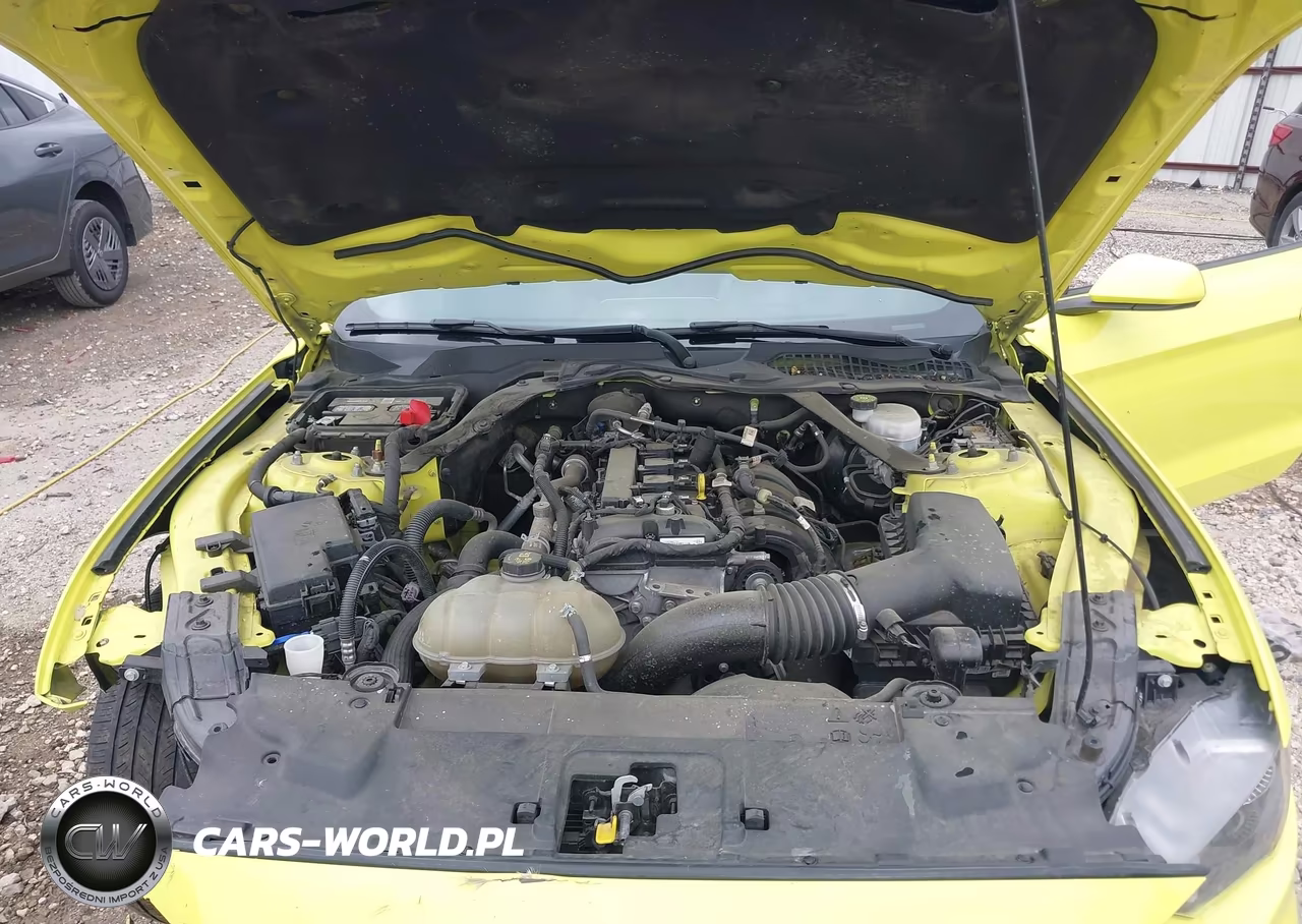 2021 Ford Mustang Ecoboost Premium VIN:1FATP8UH5M5105056 - 10