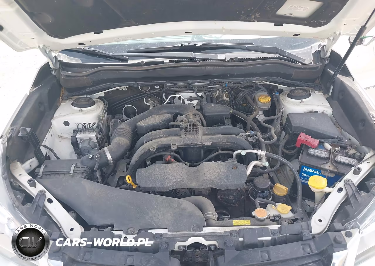 2017 Subaru Forester 2.5I Premium VIN:JF2SJAEC3HH574542 - 10